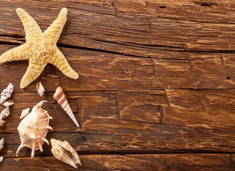 Морская тема фон