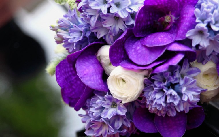 Ванда Орхидея белая с фиолетовым