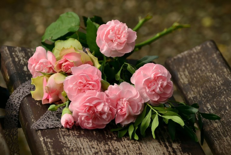 Нежный цветок