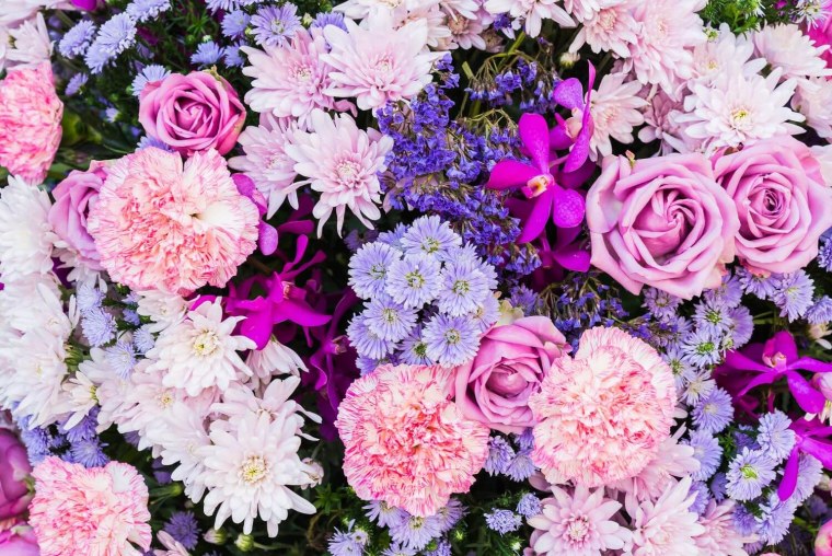 Флоксы цветы