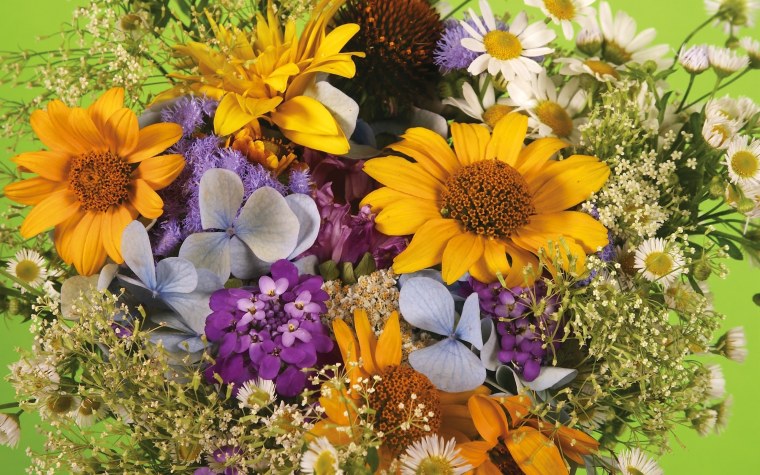 Букет полевых цветов