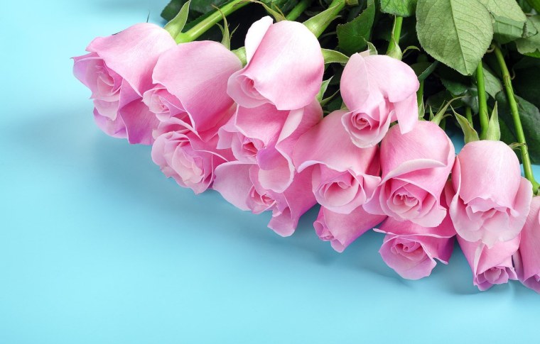 Розовые розы