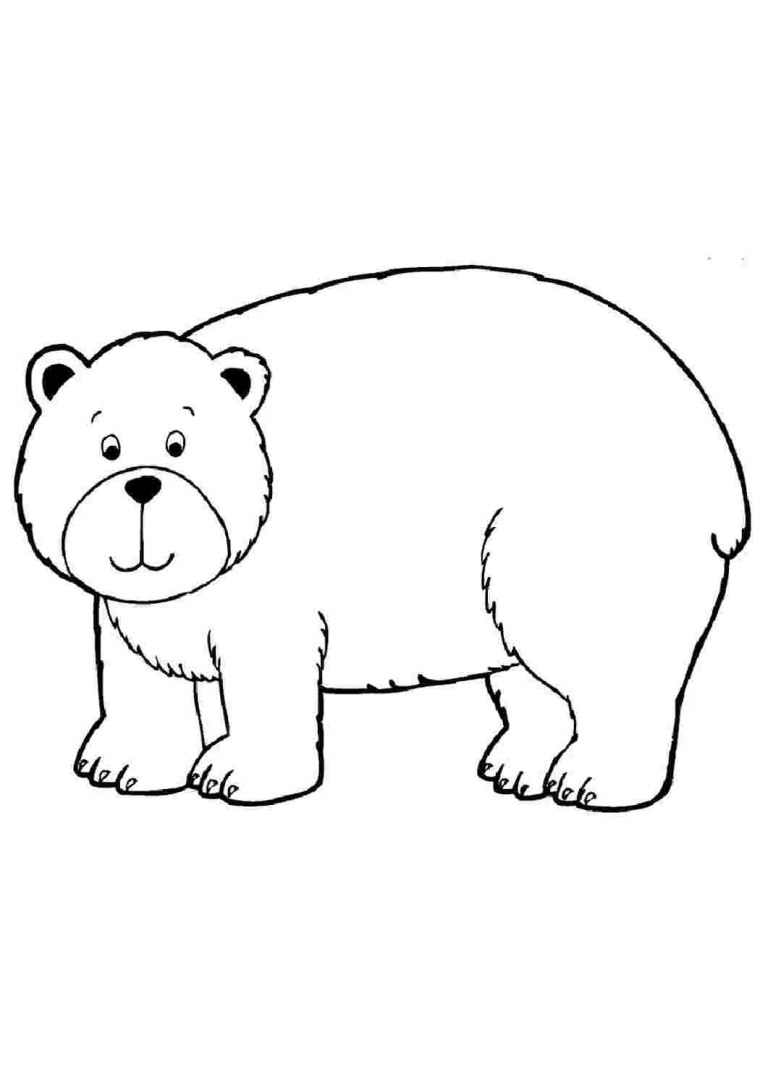 Медведь вектор