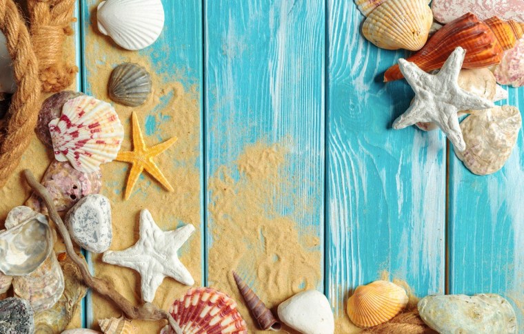 Море песок ракушки