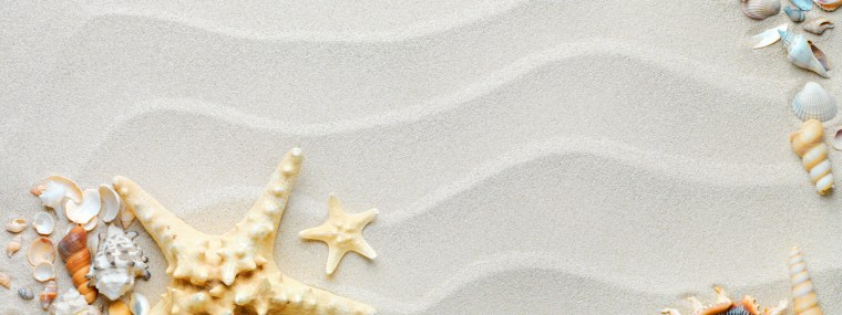 Текстура песок белый с ракушками