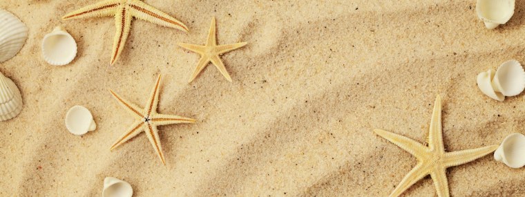 Песок с ракушками вид сверху