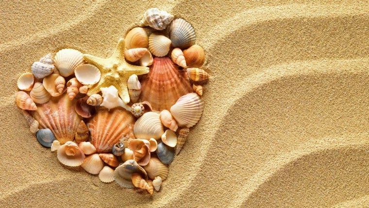 Текстура ракушки