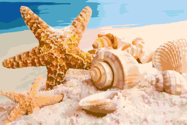 Море песок ракушки