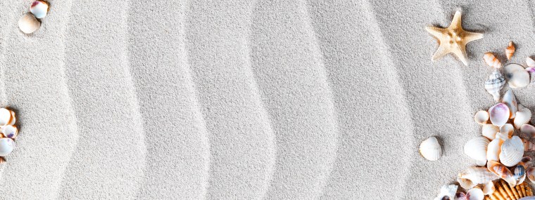 Фон песок с ракушками