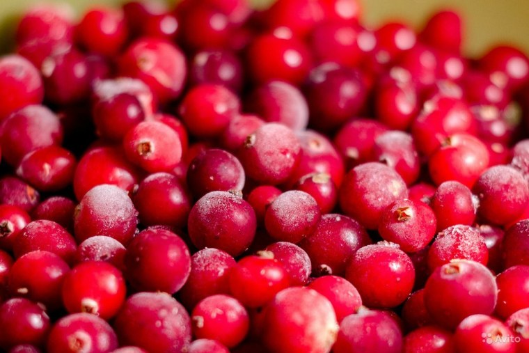 Брусника свежемороженая