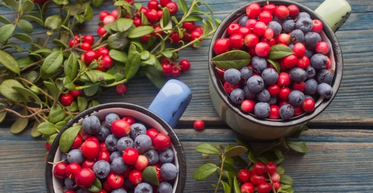 Брусника черника голубика клюква