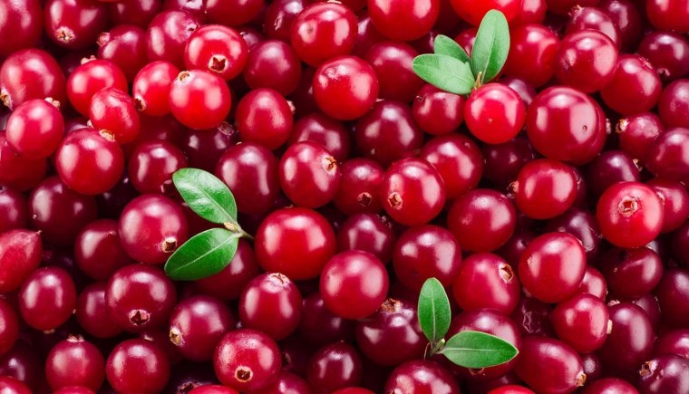 Клюква и брусника