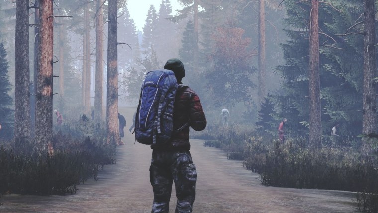 DAYZ Standalone 4к