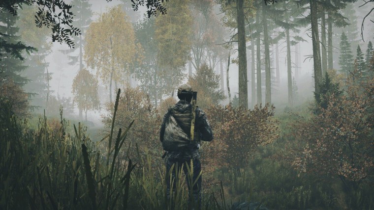 DAYZ 4k