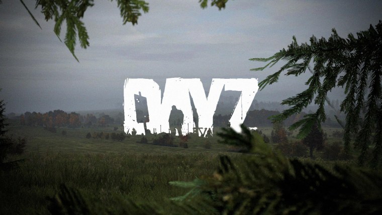 DAYZ на слабом ПК