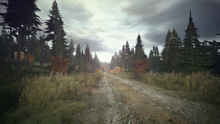 DAYZ Standalone природа