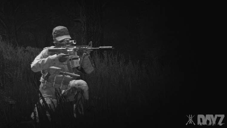 DAYZ картинки