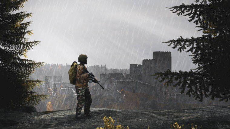 DAYZ Stalker артефакты