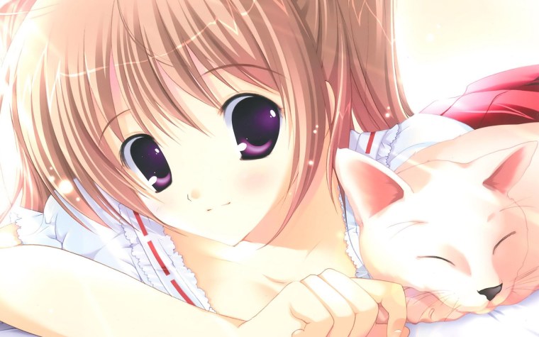 Картинки аниме кошки