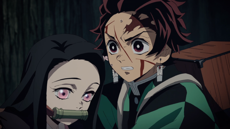 Demon Slayer Kimetsu no Yaiba
