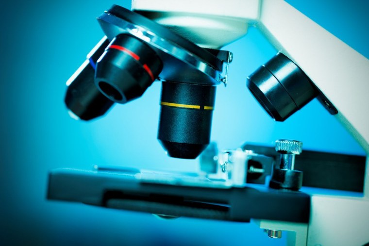 Гистология микроскоп