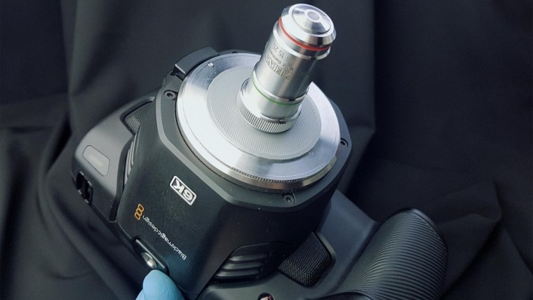 Муравей под микроскопом фото