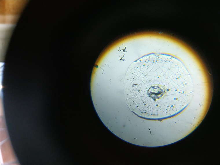 Линзы в окуляре микроскопа