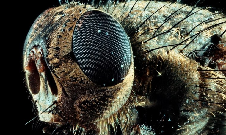 Линза под микроскопом