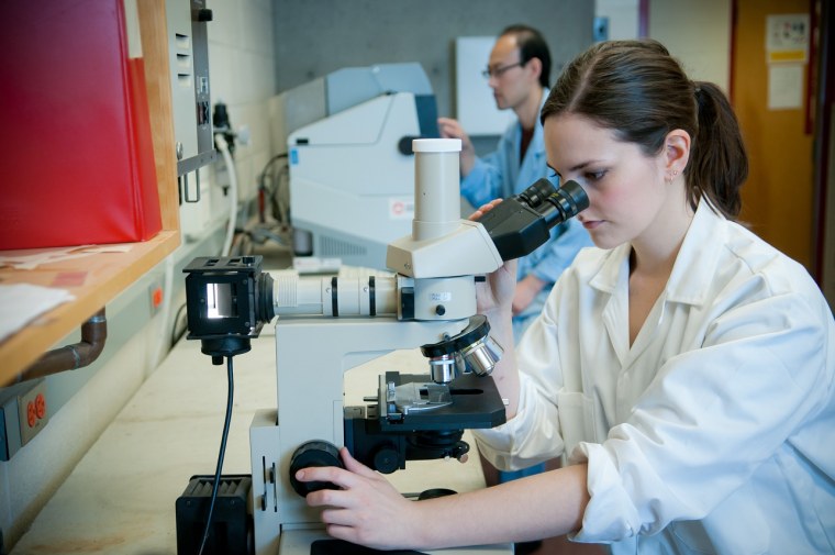 Наблюдение в микроскоп