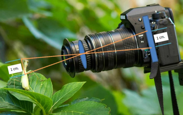 Красивый микроскоп