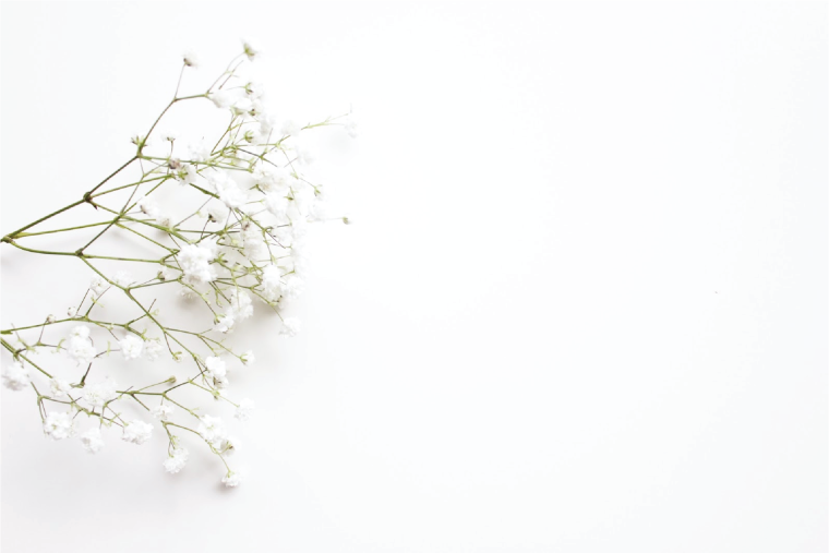 Красивые фоны для свадебной фотокниги