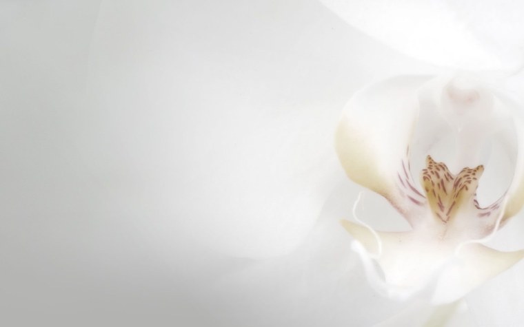 Полупрозрачный фон для презентации