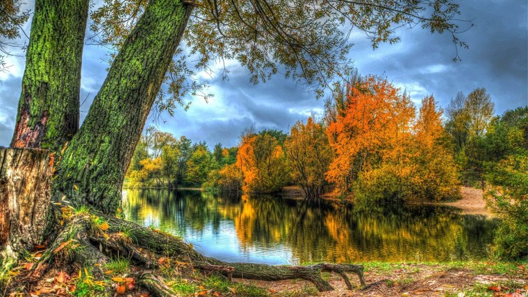 Природа осенью