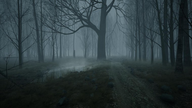 Мрачный лес