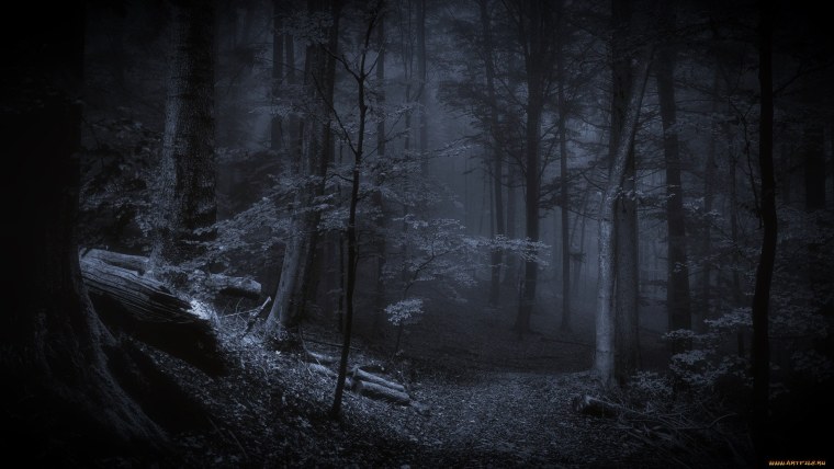 Темный лес