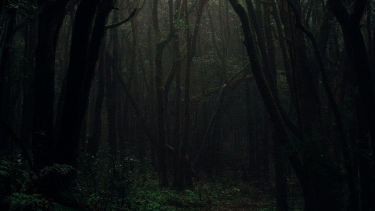 Темный лес