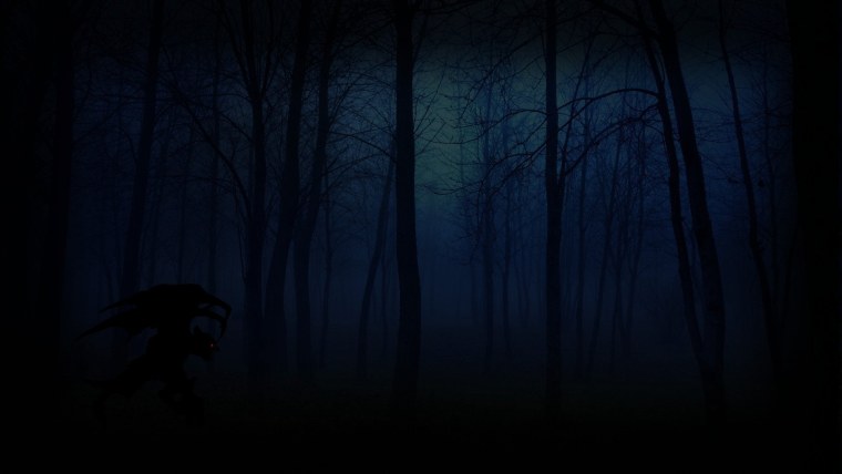 Мрачный лес черно белый