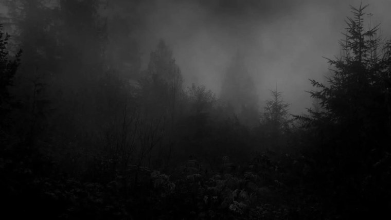 Темные обои