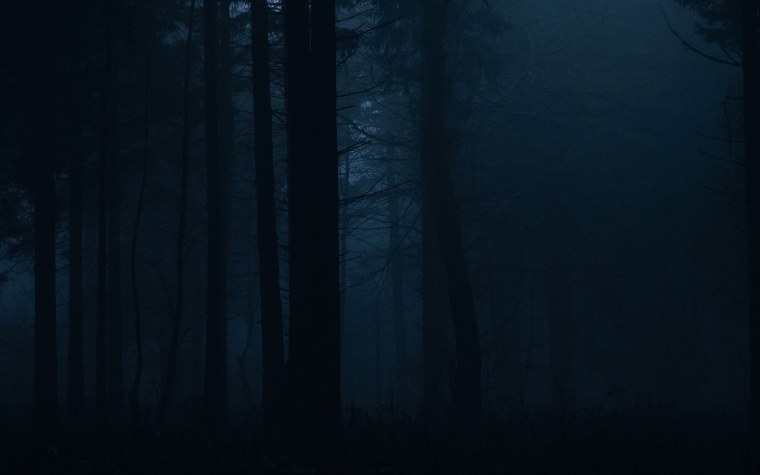 Мрачный лес