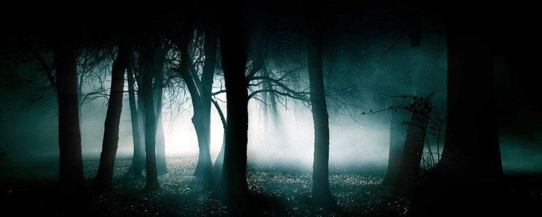 Мрачные леса