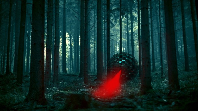 Мрачный ночной лес