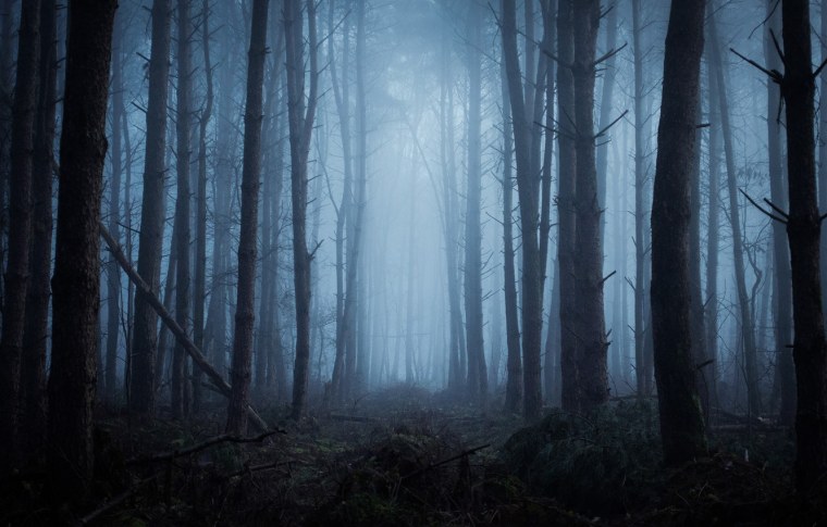 Темный Кровавый лес