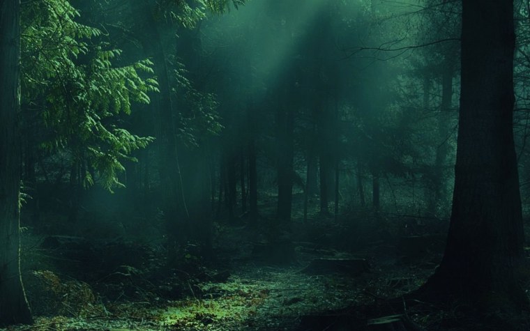 Темный лес Твайлайт