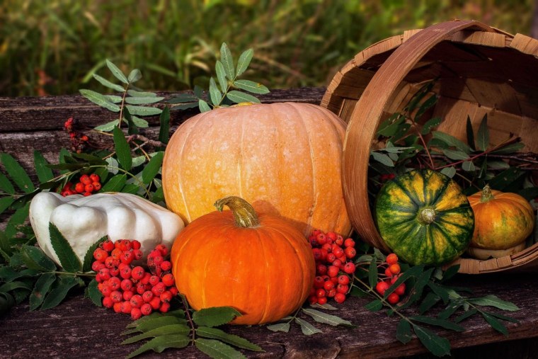 Урожай осенью