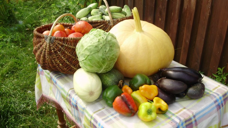 Урожай овощей