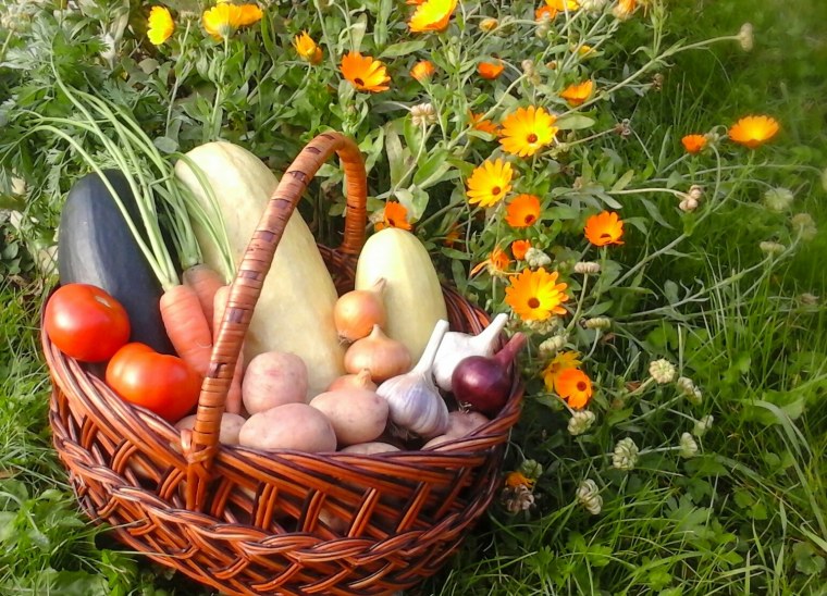 Лукошко с овощами