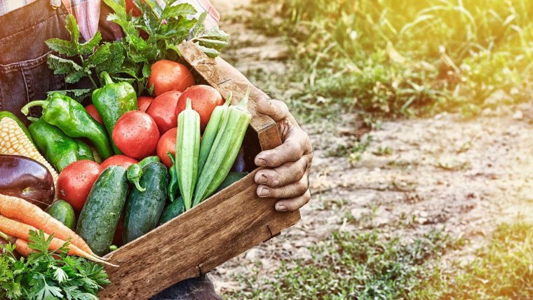 Урожай овощей