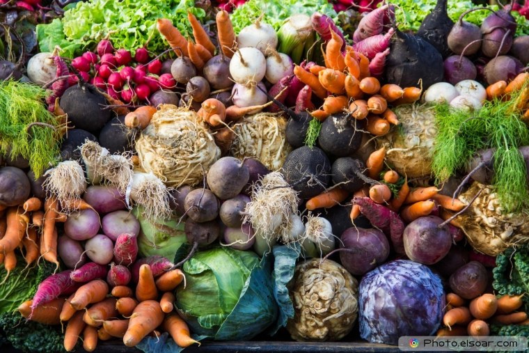 Сбор овощей