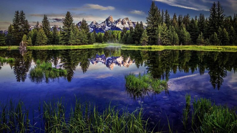 Красивые заставки на рабочий стол природа