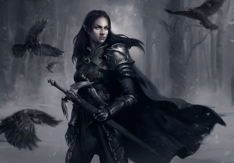 Девушка рыцарь